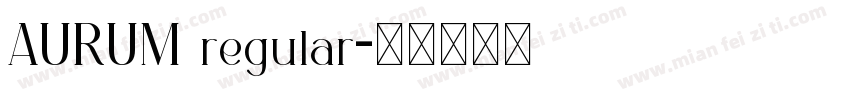 AURUM regular字体转换